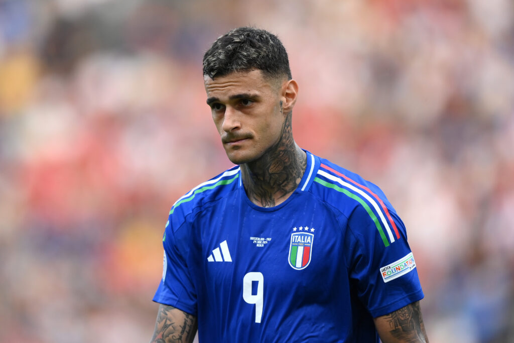 Scamacca