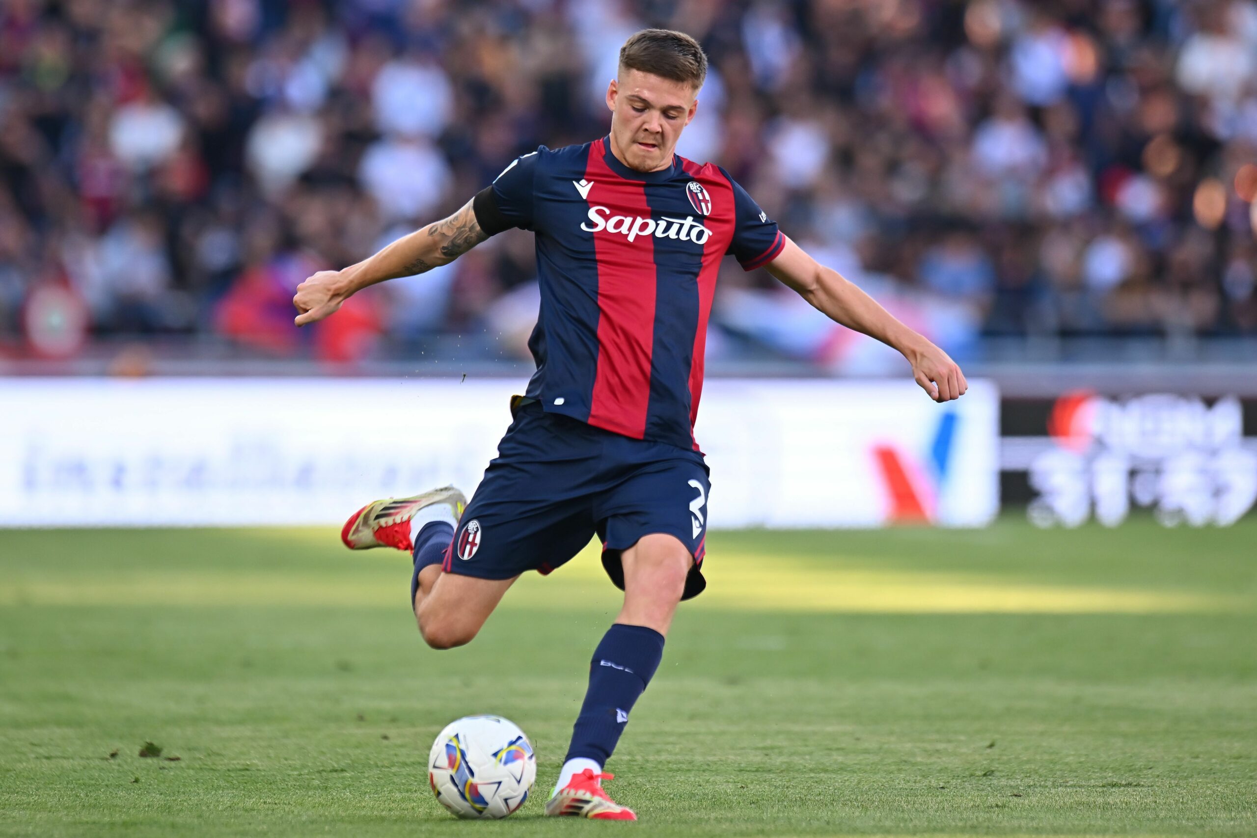 Holm Bologna