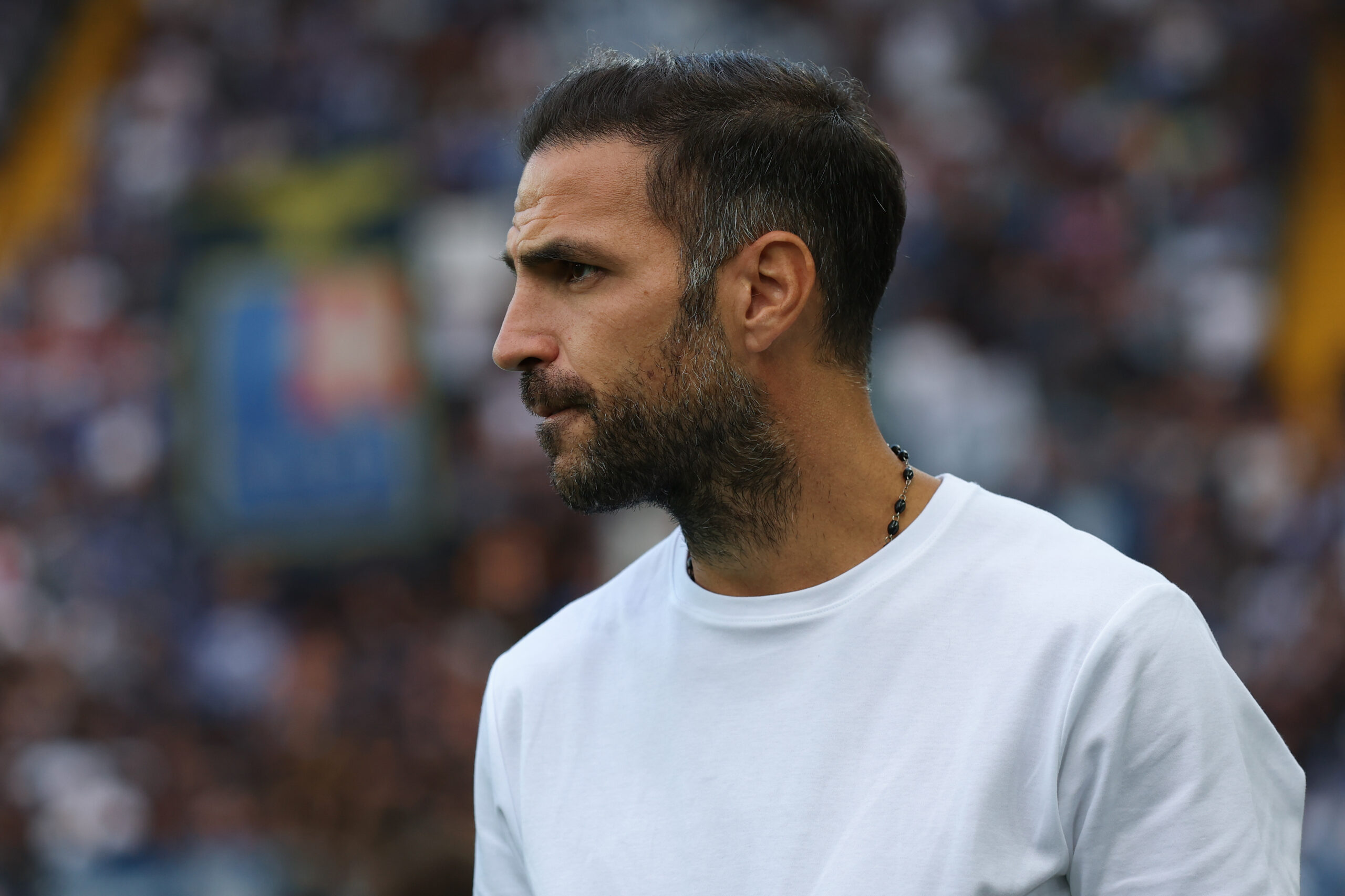 Fabregas